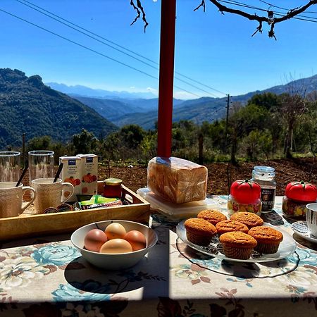 Georgaras Accommodation Platanoussa Luaran gambar