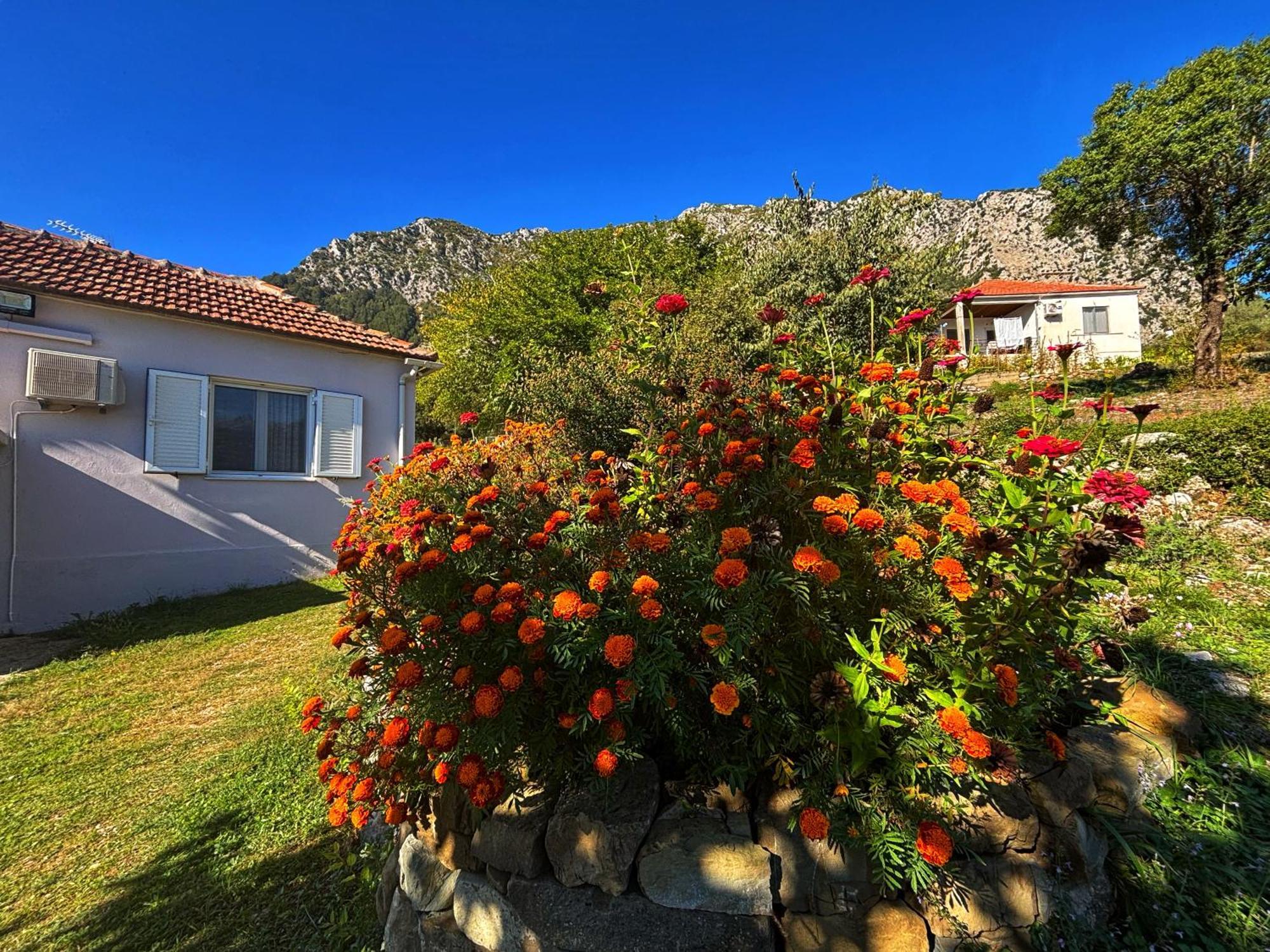 Georgaras Accommodation Platanoussa Luaran gambar